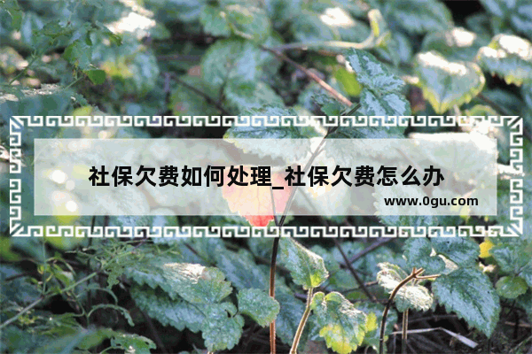 社保欠费如何处理_社保欠费怎么办