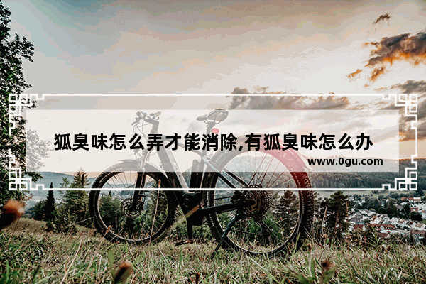 狐臭味怎么弄才能消除,有狐臭味怎么办