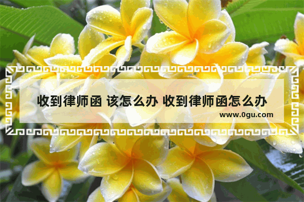 收到律师函 该怎么办 收到律师函怎么办