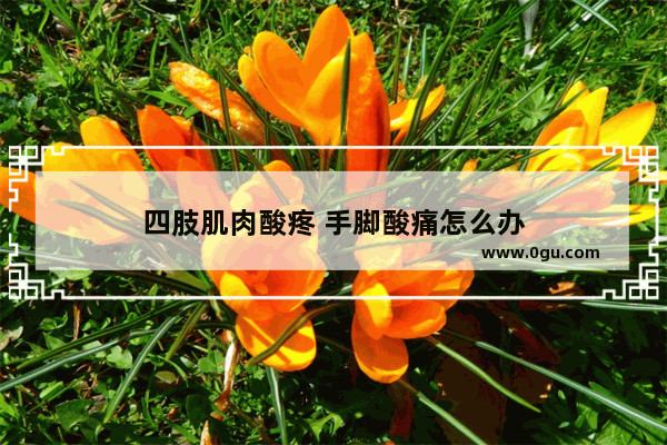 四肢肌肉酸疼 手脚酸痛怎么办