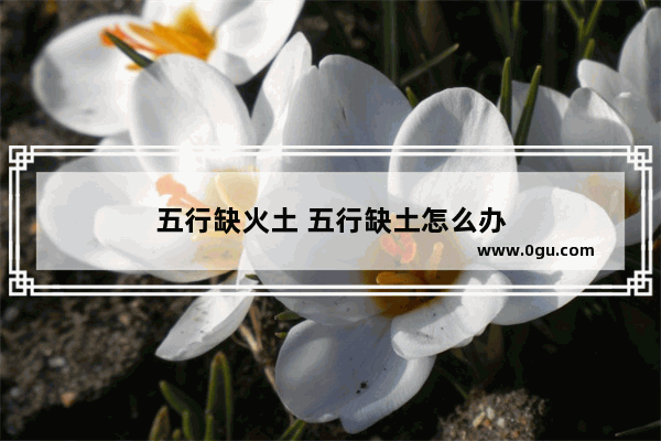 五行缺火土 五行缺土怎么办
