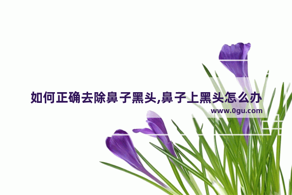 如何正确去除鼻子黑头,鼻子上黑头怎么办