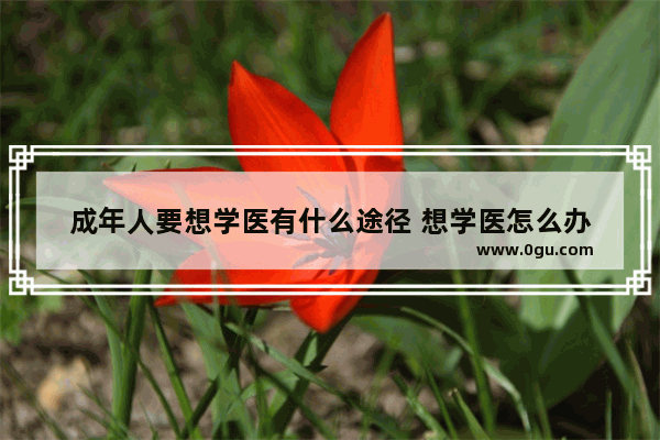 成年人要想学医有什么途径 想学医怎么办