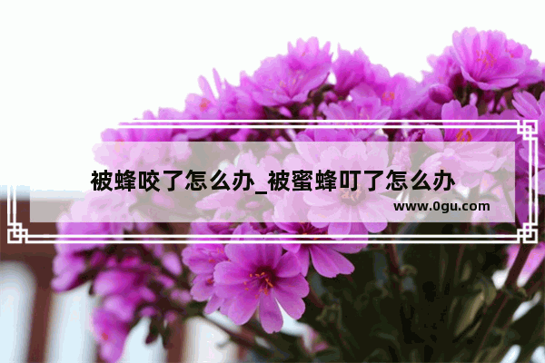 被蜂咬了怎么办_被蜜蜂叮了怎么办
