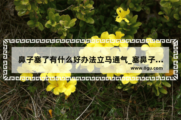鼻子塞了有什么好办法立马通气_塞鼻子最有效的方法