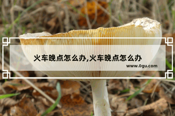 火车晚点怎么办,火车晚点怎么办