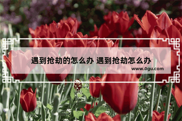 遇到抢劫的怎么办 遇到抢劫怎么办