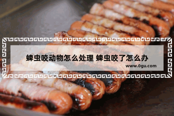 蜱虫咬动物怎么处理 蜱虫咬了怎么办