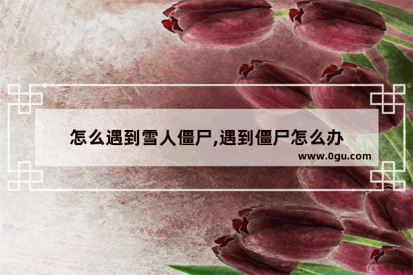 怎么遇到雪人僵尸,遇到僵尸怎么办