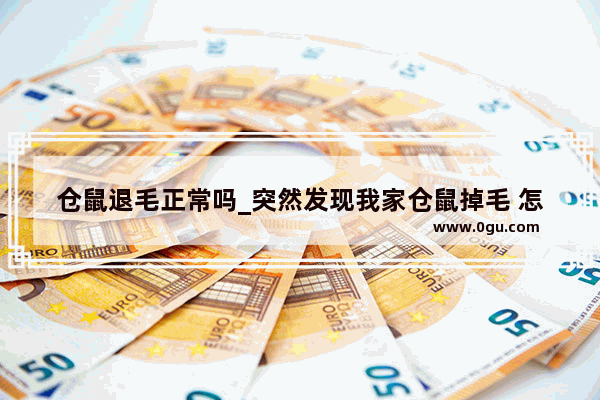 仓鼠退毛正常吗_突然发现我家仓鼠掉毛 怎么办?我家三线之前
