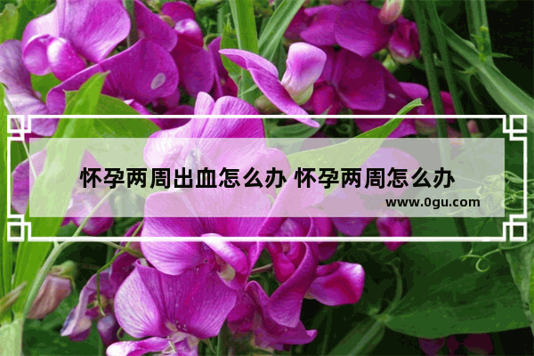 怀孕两周出血怎么办 怀孕两周怎么办