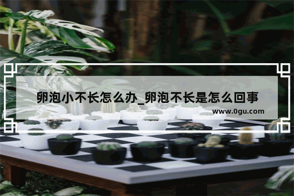 卵泡小不长怎么办_卵泡不长是怎么回事