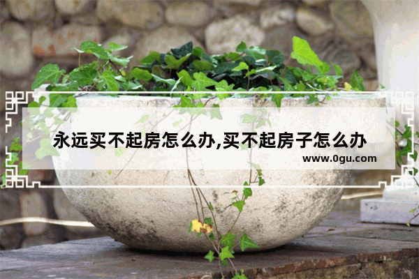 永远买不起房怎么办,买不起房子怎么办