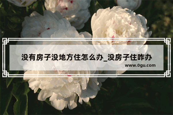 没有房子没地方住怎么办_没房子住咋办
