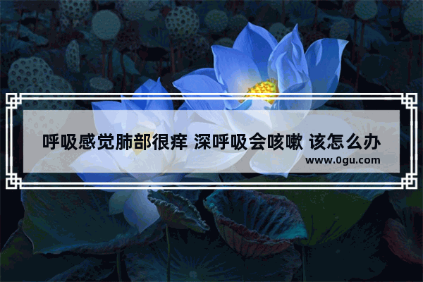 呼吸感觉肺部很痒 深呼吸会咳嗽 该怎么办,咳嗽肺疼怎么办