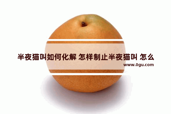 半夜猫叫如何化解 怎样制止半夜猫叫 怎么样能强 猫半夜叫怎么办