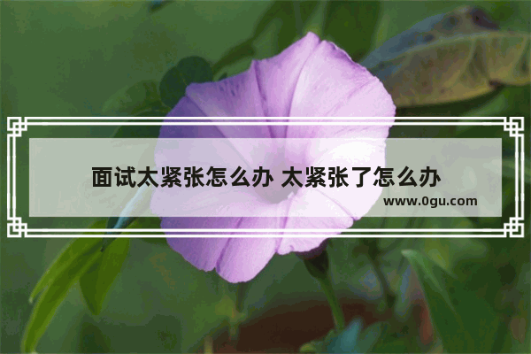 面试太紧张怎么办 太紧张了怎么办