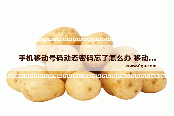 手机移动号码动态密码忘了怎么办 移动密码忘了怎么办
