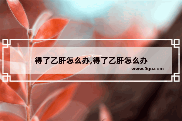 得了乙肝怎么办,得了乙肝怎么办