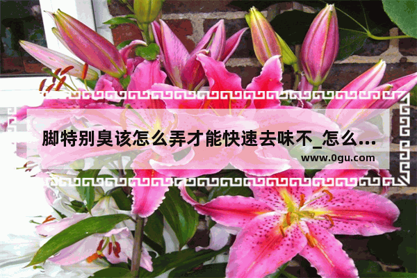 脚特别臭该怎么弄才能快速去味不_怎么让脚不臭