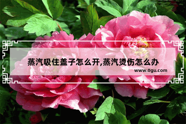 蒸汽吸住盖子怎么开,蒸汽烫伤怎么办