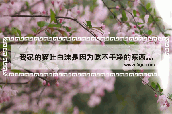 我家的猫吐白沫是因为吃不干净的东西引起怎么救啊,猫咪吐白沫怎么办