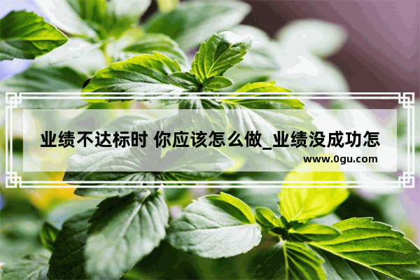 业绩不达标时 你应该怎么做_业绩没成功怎么处理