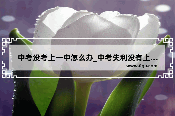 中考没考上一中怎么办_中考失利没有上到重点高中怎么办