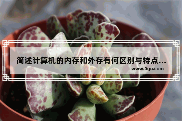 简述计算机的内存和外存有何区别与特点?内存是由哪几部分组成?有何特点,电脑内存不够怎么办