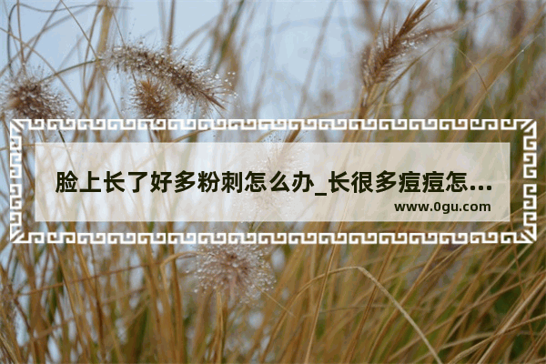 脸上长了好多粉刺怎么办_长很多痘痘怎么办