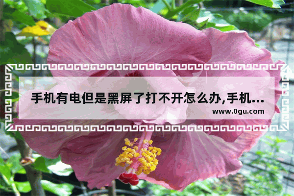 手机有电但是黑屏了打不开怎么办,手机打不开黑屏怎么办