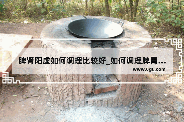 脾肾阳虚如何调理比较好_如何调理脾胃阳虚和脾肾阳虚