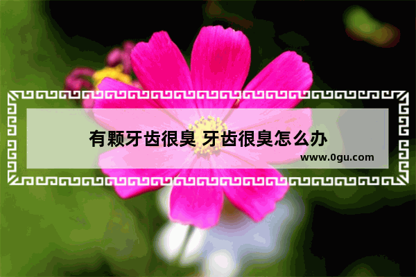 有颗牙齿很臭 牙齿很臭怎么办
