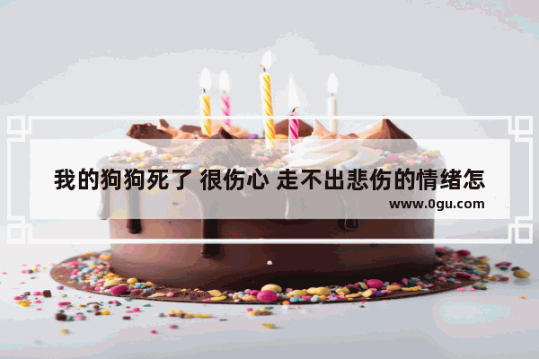 我的狗狗死了 很伤心 走不出悲伤的情绪怎么办 你走了我怎么办