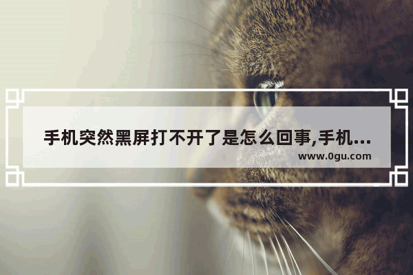 手机突然黑屏打不开了是怎么回事,手机黑屏打不开怎么办