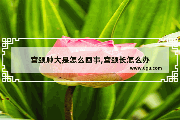 宫颈肿大是怎么回事,宫颈长怎么办