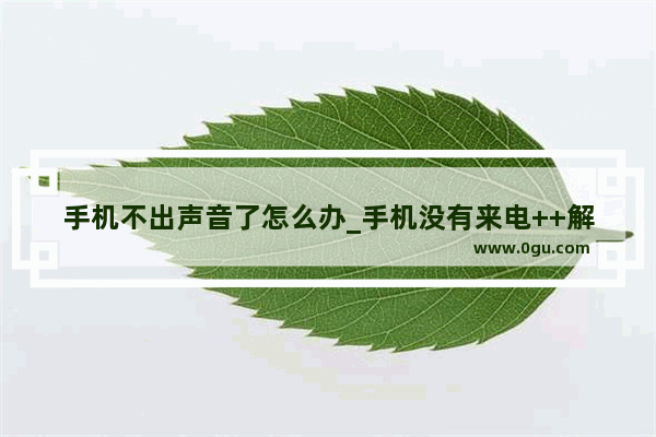 手机不出声音了怎么办_手机没有来电++解决方法