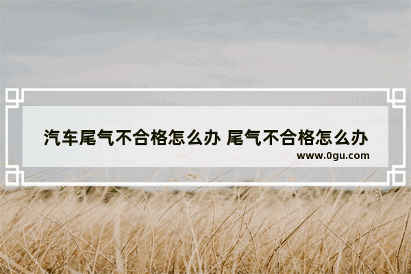 汽车尾气不合格怎么办 尾气不合格怎么办