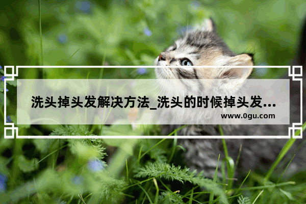 洗头掉头发解决方法_洗头的时候掉头发很厉害怎么办