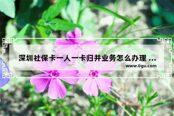 深圳社保卡一人一卡归并业务怎么办理 深圳社保卡怎么办