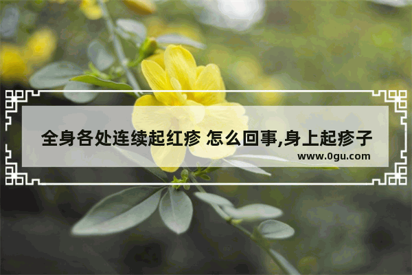 全身各处连续起红疹 怎么回事,身上起疹子怎么办