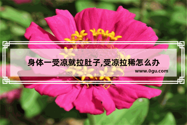 身体一受凉就拉肚子,受凉拉稀怎么办