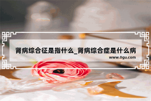 肾病综合征是指什么_肾病综合症是什么病