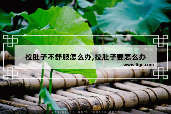 拉肚子不舒服怎么办,拉肚子要怎么办