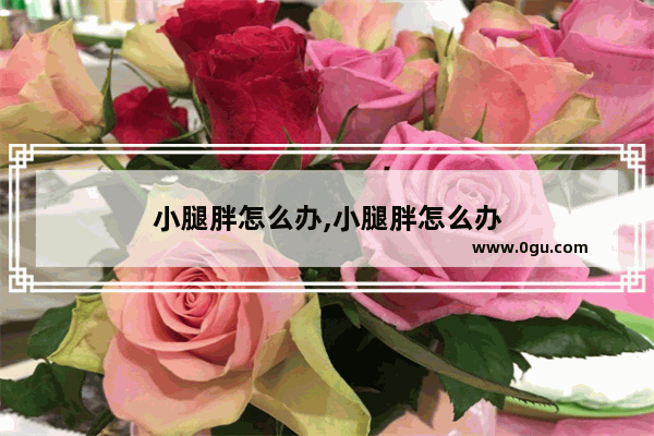 小腿胖怎么办,小腿胖怎么办