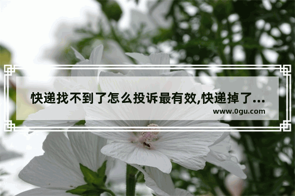 快递找不到了怎么投诉最有效,快递掉了怎么办