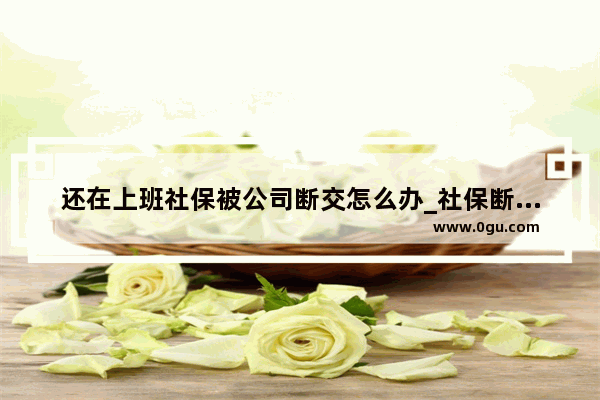 还在上班社保被公司断交怎么办_社保断交了怎么办
