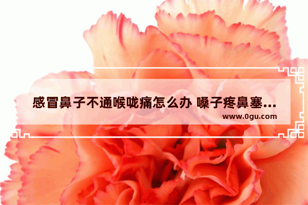 感冒鼻子不通喉咙痛怎么办 嗓子疼鼻塞怎么办