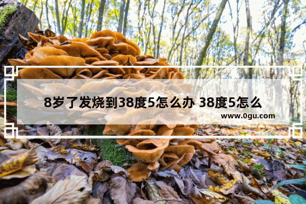 8岁了发烧到38度5怎么办 38度5怎么办