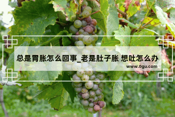 总是胃胀怎么回事_老是肚子胀 想吐怎么办 这是怎么回事